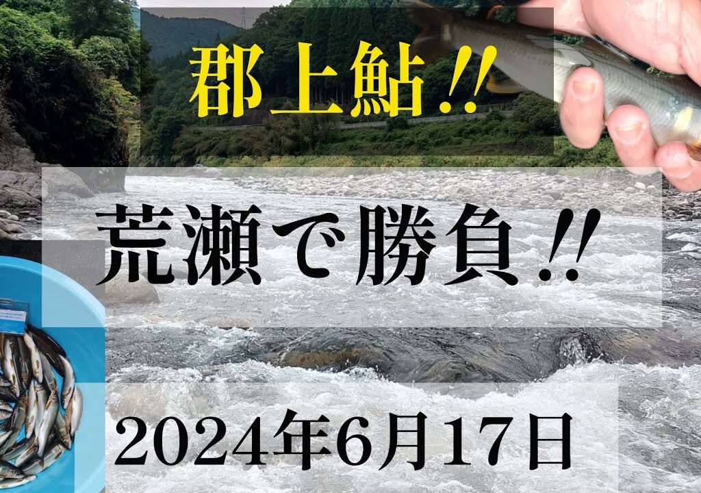 郡上鮎‼️荒瀬で勝負‼️2024年6月17日