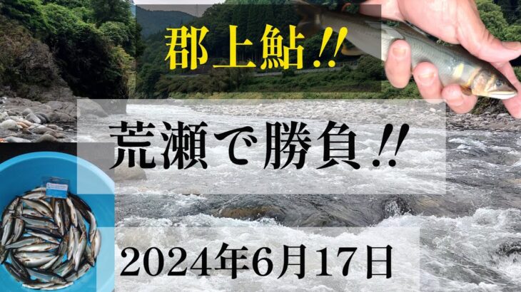 郡上鮎‼️荒瀬で勝負‼️2024年6月17日