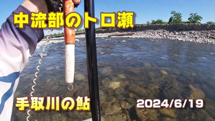 【手取川の鮎】2024年6/19 中流部のトロ瀬