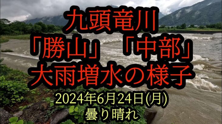 九頭竜川　大雨増水の様子「勝山」「中部」　2024年6月24日(月)