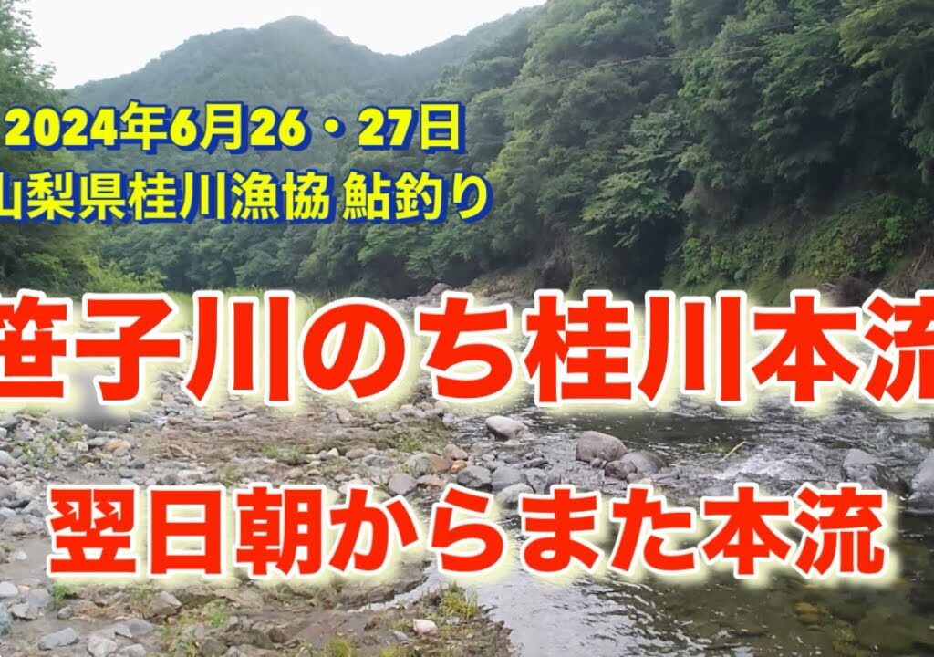 山梨県 桂川漁協 笹子川のち桂川本流 鮎釣り2024年6月26・27日 鮎が好きだけど 鮎釣りしない兄貴のために頑張ってきました😌