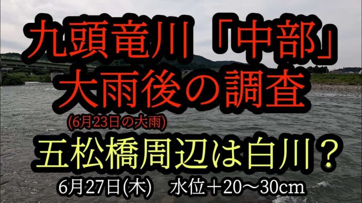 『九頭竜川中部』大雨後の調査 五松橋周辺は白川？2024年6月27日