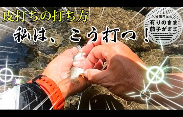 【鮎釣り】2024/6/4 今年の安田川は一味違う！