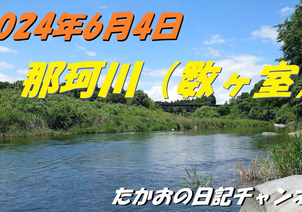 2024年6月4日　那珂川（数ヶ室）