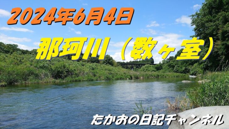 2024年6月4日　那珂川（数ヶ室）