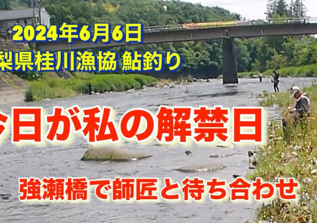 山梨県桂川漁協 桂川本流 鮎釣り 2024年6月6日 やっとこ行けました。遅くなりましたが、今日が私の解禁日になりました🤣
