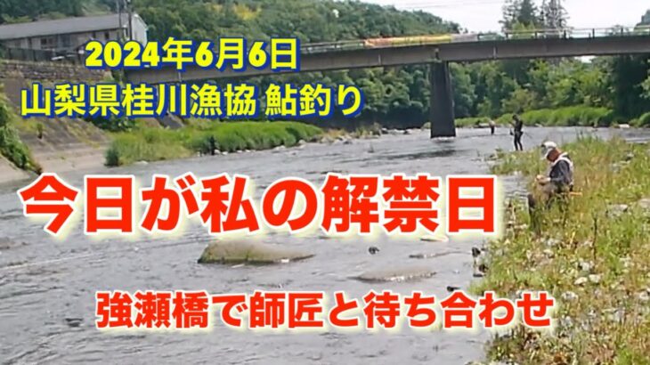 山梨県桂川漁協 桂川本流 鮎釣り 2024年6月6日 やっとこ行けました。遅くなりましたが、今日が私の解禁日になりました🤣