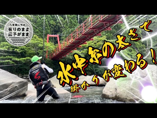 【鮎釣り】2024/6/6 曇天。低水温。低活性の釣り