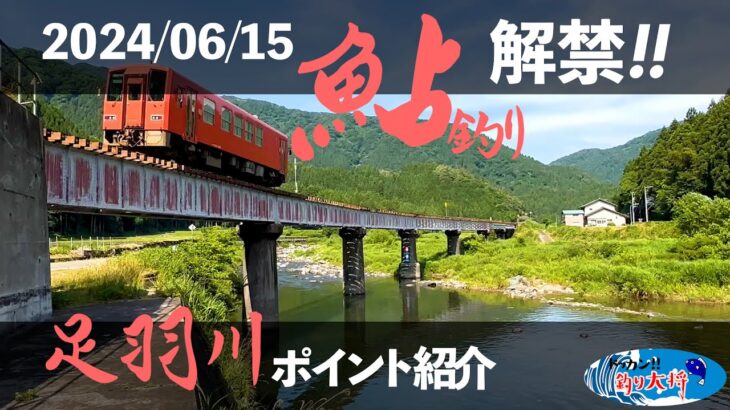 【2024】足羽川解禁直前！ポイントMAP【鮎釣り】