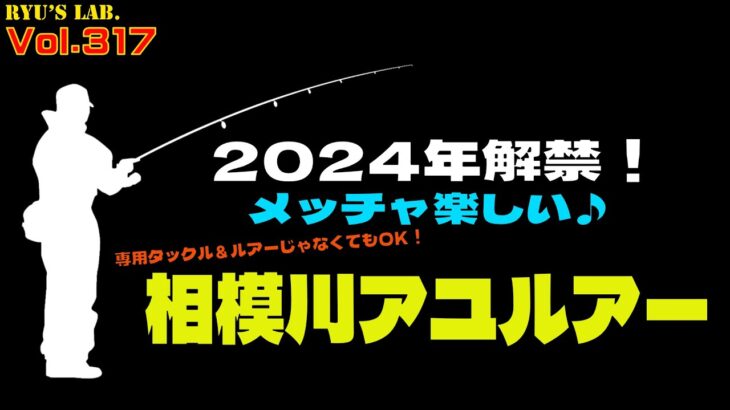 【鮎ルアー】2024鮎解禁！in 相模川 Ryu’s Lab. 第317弾 #鮎釣り #アユイング #相模川
