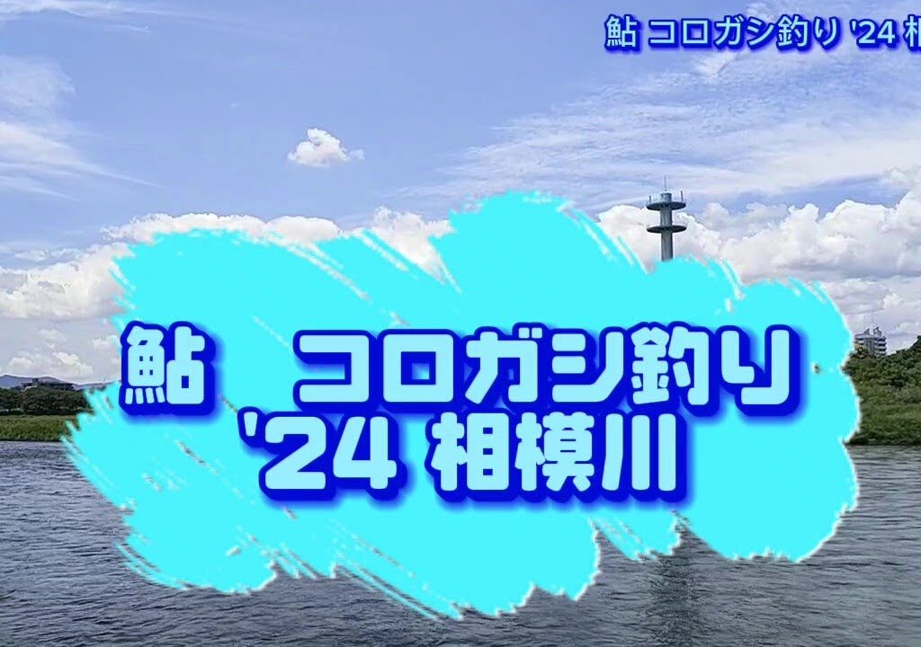 鮎釣り【コロガシ釣り】 ① ’24 相模川 2024.06.01