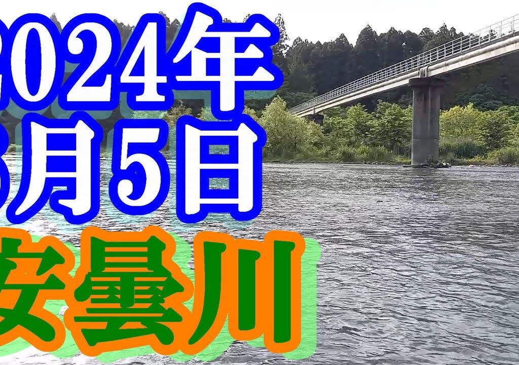 鮎釣り 5cm高残り垢＆新垢 水管橋下 安曇川朽木