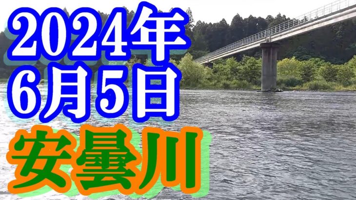 鮎釣り 5cm高残り垢＆新垢 水管橋下 安曇川朽木