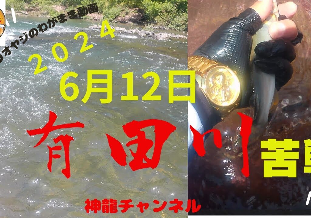 6月12日有田川の鮎釣り悶絶編
