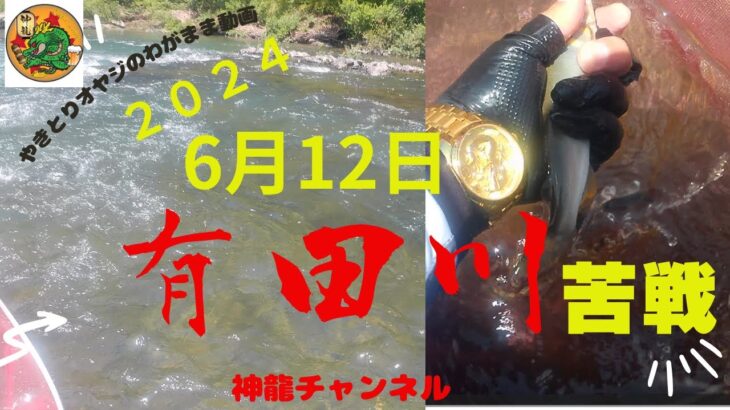 6月12日有田川の鮎釣り悶絶編