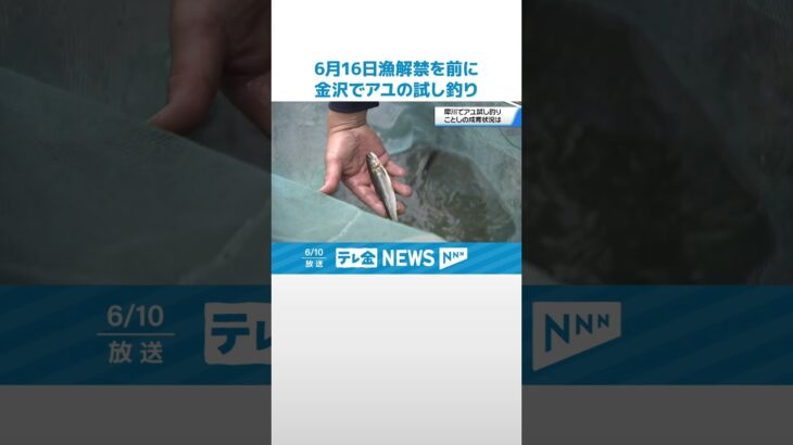 【解禁を前に】金沢でアユの試し釣り　石川の河川の多くで6月16日漁解禁 #shorts
