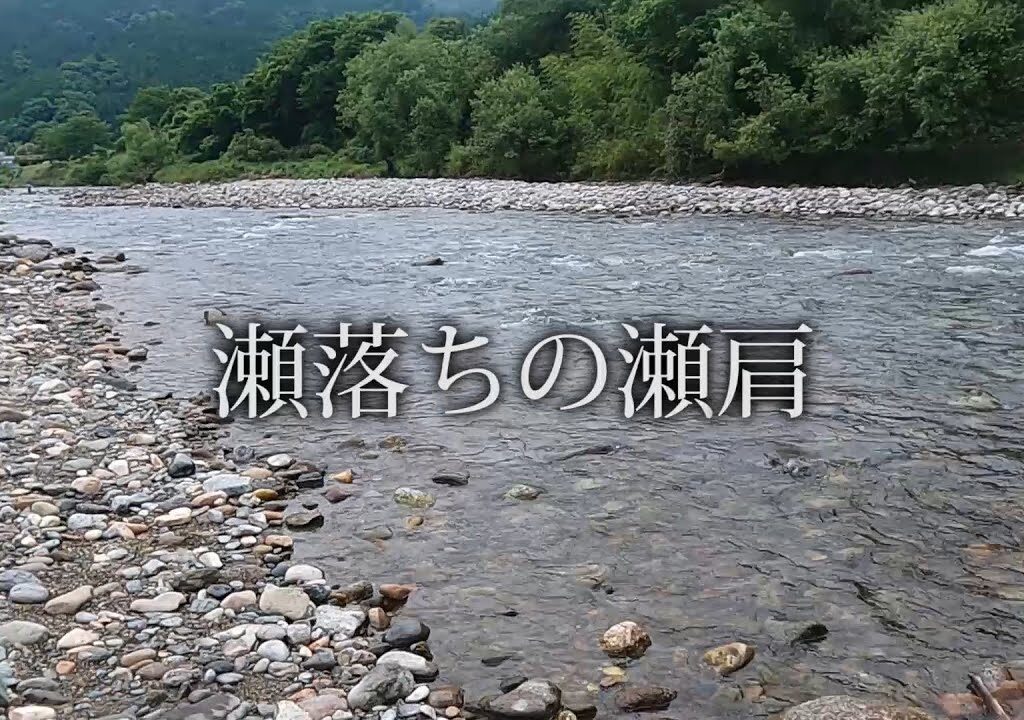 鮎に魅せられて62　瀬落ちの瀬肩