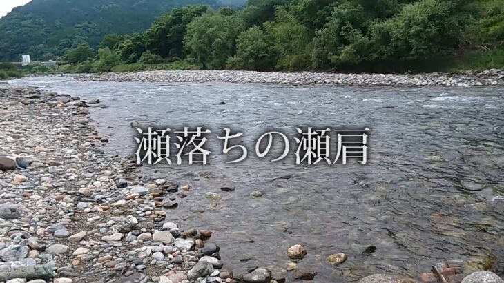 鮎に魅せられて62　瀬落ちの瀬肩