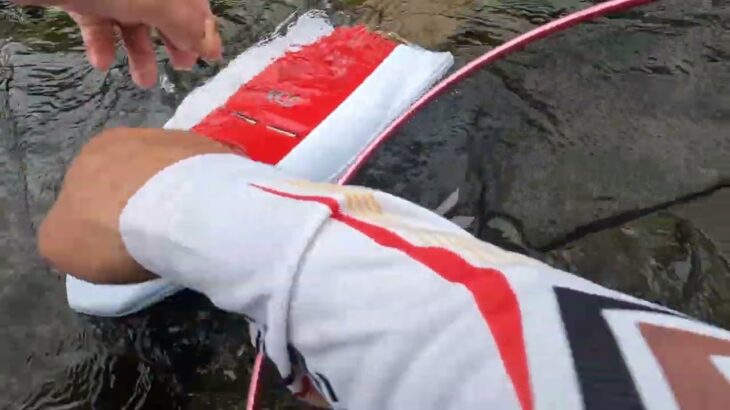 6月22日の鮎釣り