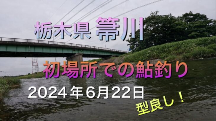 《鮎釣り》栃木県箒川、初場所での釣行！釣れてる人の真似をする！青藻は多いが型は良し！ショートスペシャル80【Vol.11】GSフィッシング倶楽部