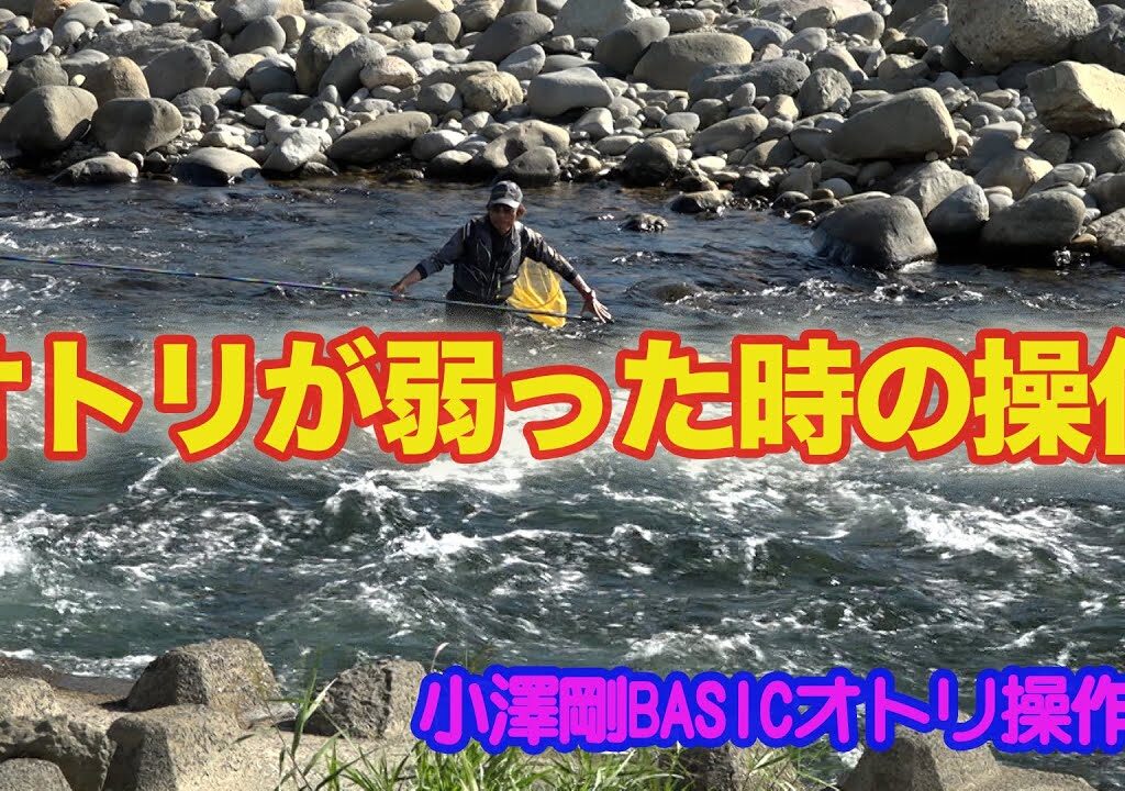 小澤剛BASICオトリ操作術 オトリが弱った時の操作