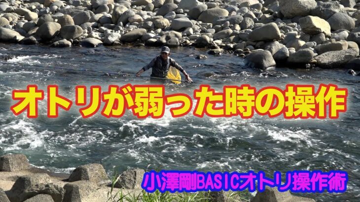 小澤剛BASICオトリ操作術 オトリが弱った時の操作