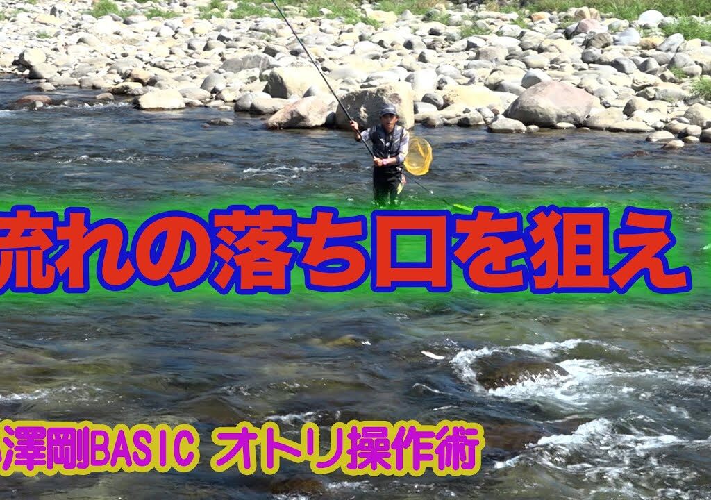 小澤剛BASICオトリ操作術 流れの落ち口を狙え！