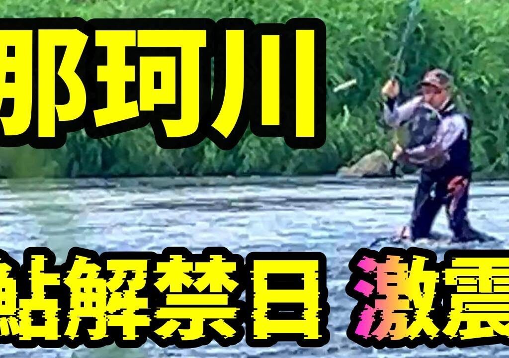 【鮎釣り 那珂川】何があった⁉ 釣師あわてるビックリ釣果 町裏、一本松の深掘りタレコミ情報 River Healing Channel （リバヒ）