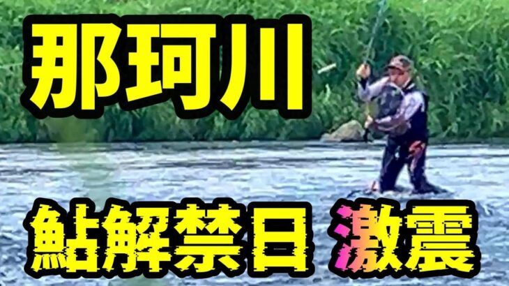【鮎釣り 那珂川】何があった⁉ 釣師あわてるビックリ釣果 町裏、一本松の深掘りタレコミ情報 River Healing Channel （リバヒ）