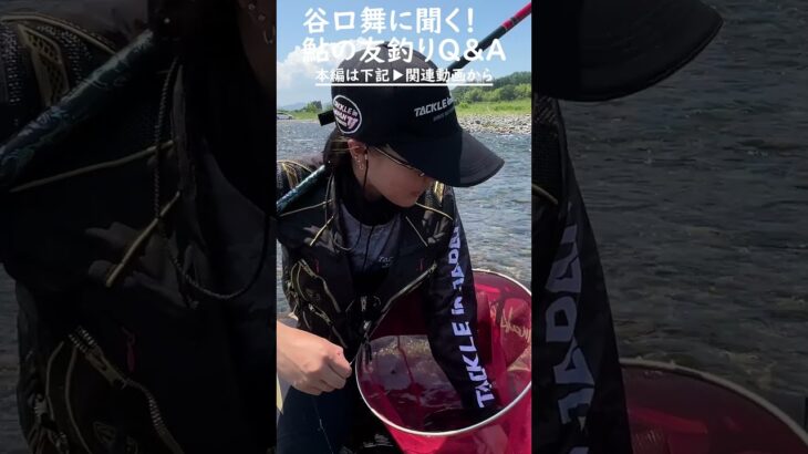 【鮎友釣り】谷口舞が安曇川で実釣！ #Shorts #鮎釣り #fishing #釣りガール