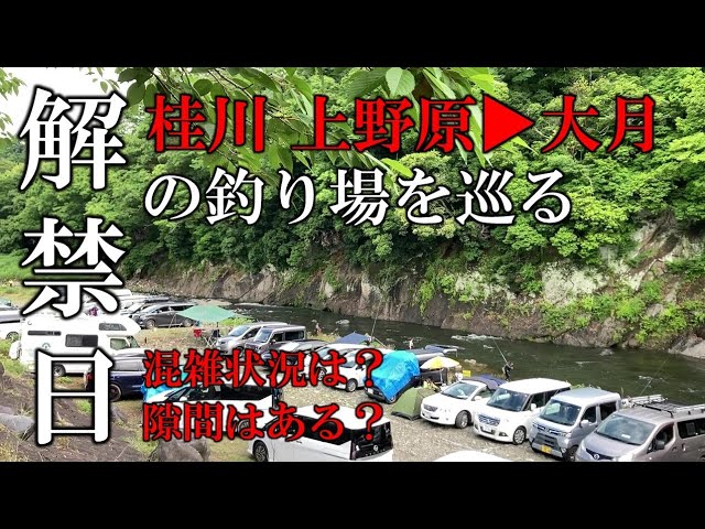 桂川　鮎解禁日の釣り場を巡る　上野原▶大月