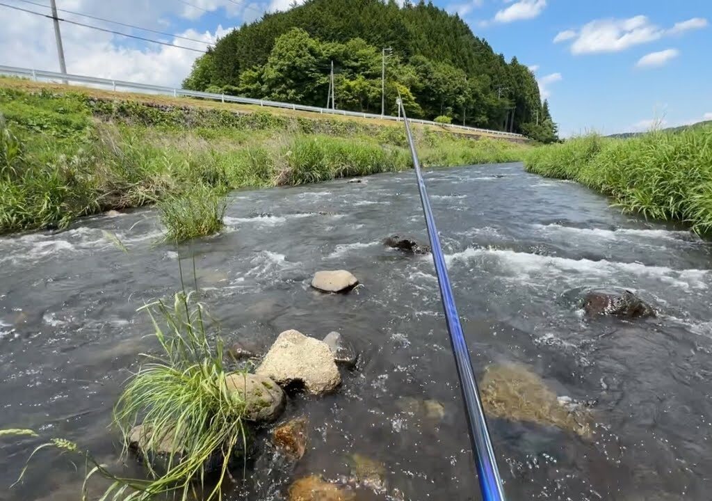 那珂川支流で解禁日の鮎を釣る