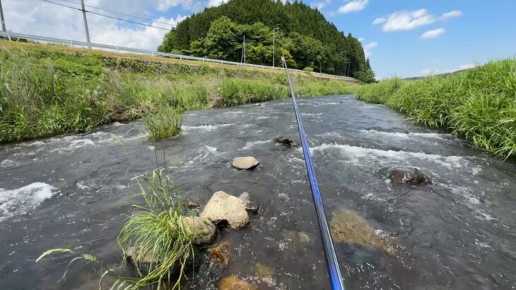 那珂川支流で解禁日の鮎を釣る