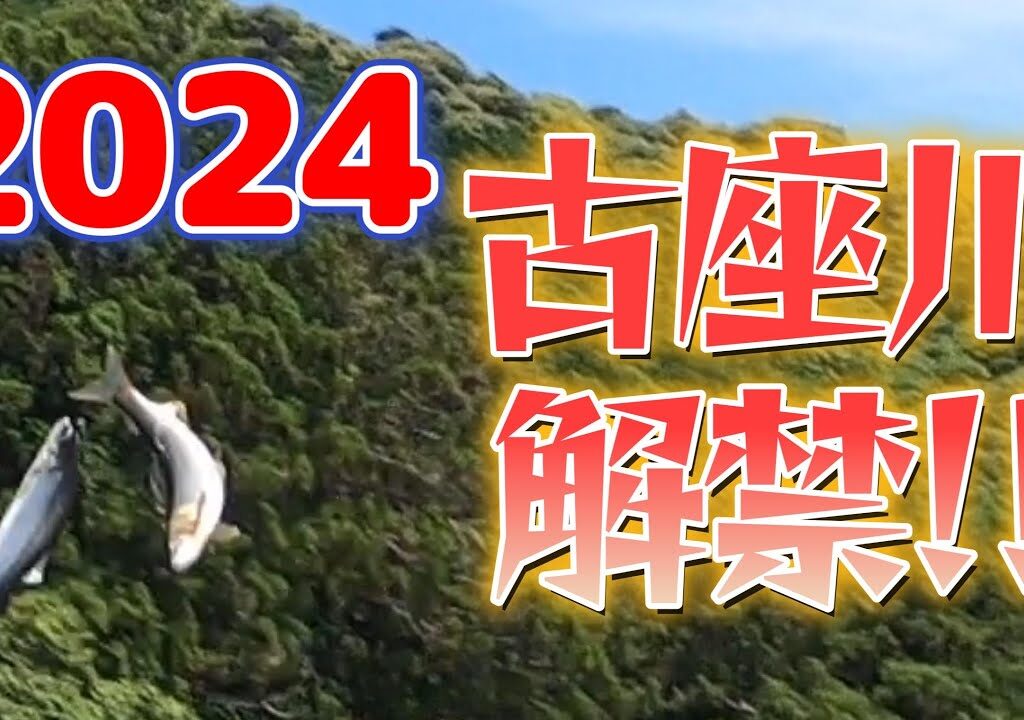 【鮎釣り】和歌山県の古座川の鮎釣りが解禁ですぞ