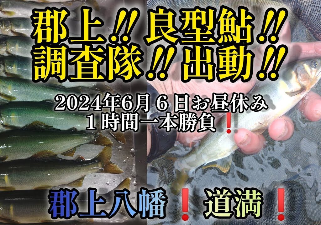 郡上‼️良型鮎‼️調査隊‼️出動‼️郡上八幡の道満で１時間一本勝負❗