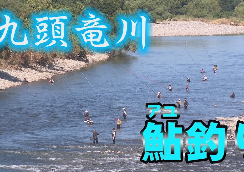 九頭竜川のアユ釣りシーズン到来　アユの試し釣り（福井県永平寺町）