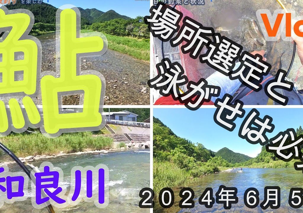 【和良川】場所選定と泳がせは必須です　２０２４．６．５