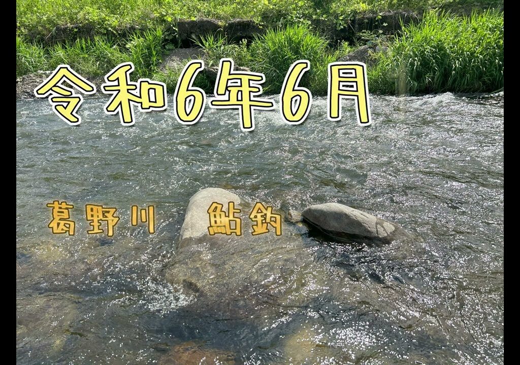 【鮎釣り】葛野川　解禁日
