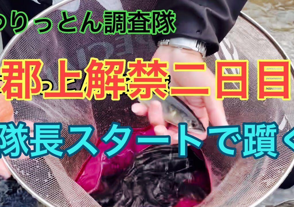 郡上解禁　今年は、どうかな？