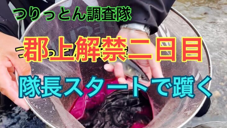 郡上解禁　今年は、どうかな？