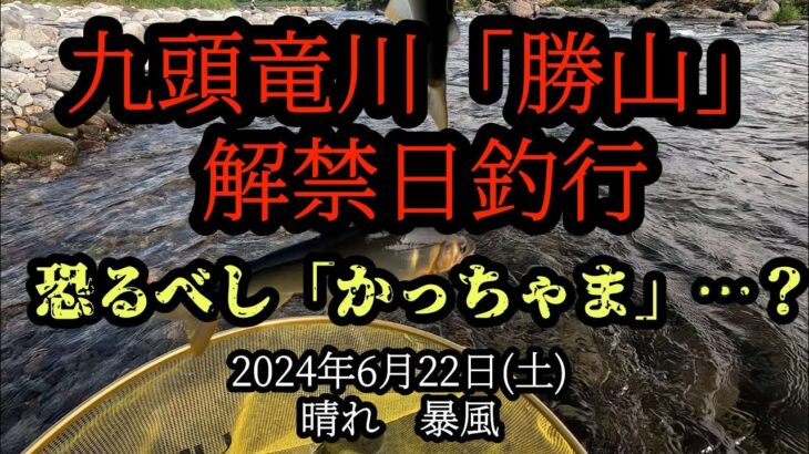 九頭竜川『勝山』解禁日　恐るべし「かっちゃま」…？