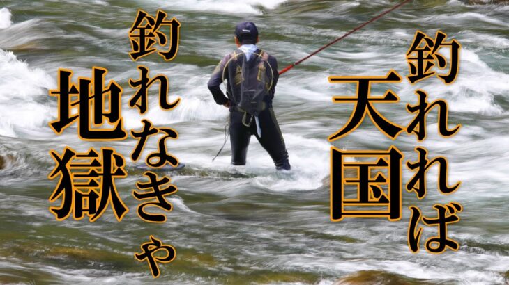 鮎釣り　鮎漁師の生活　遠征初日岐阜県白川