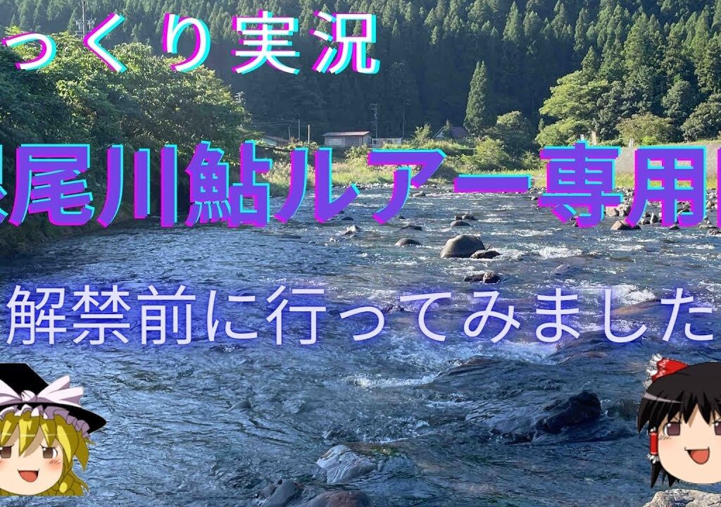 【ゆっくり実況】【アユイング】解禁前の根尾川鮎ルアー専用区を撮影してきました。【キャスティングアユ】
