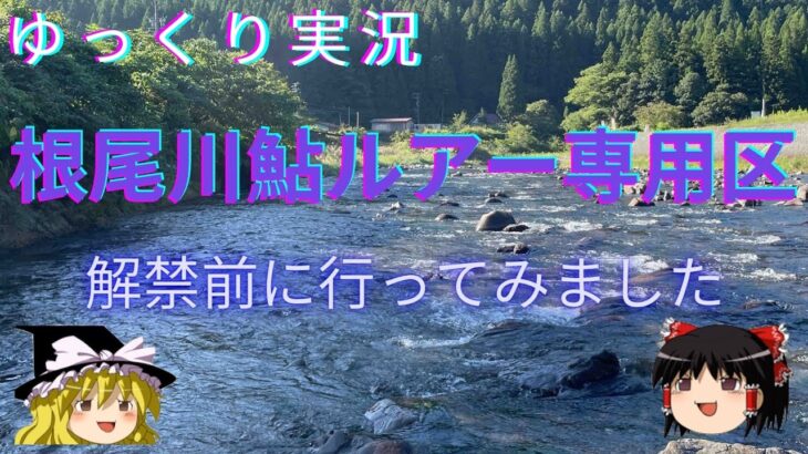 【ゆっくり実況】【アユイング】解禁前の根尾川鮎ルアー専用区を撮影してきました。【キャスティングアユ】