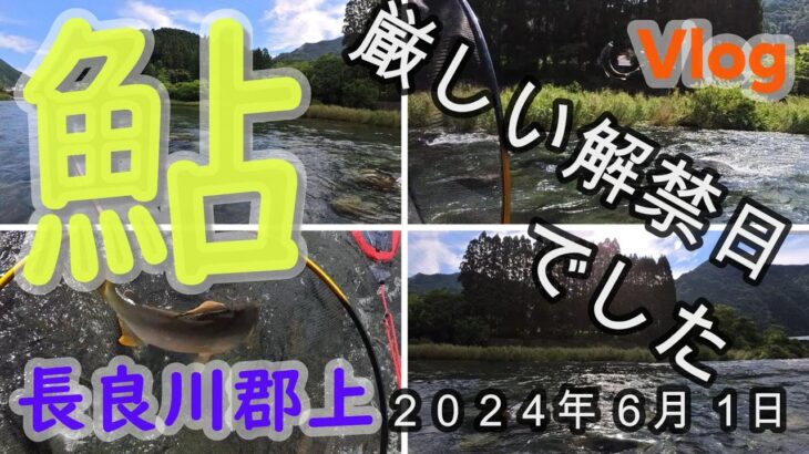 【長良川郡上】厳しい解禁日でした　２０２４．６．１