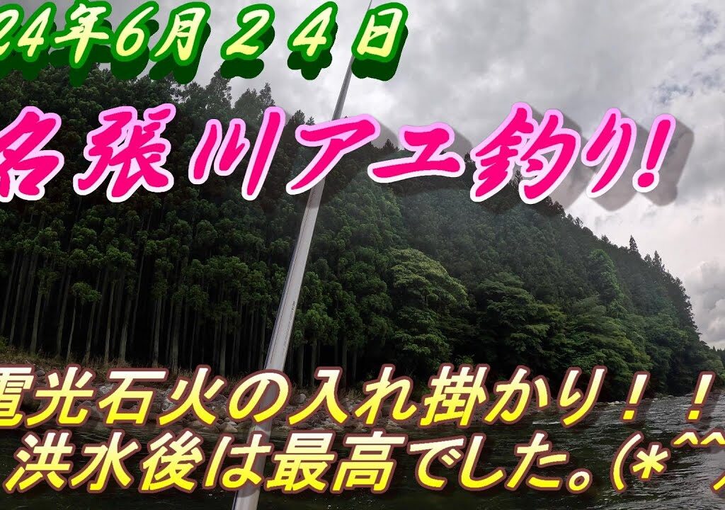 【名張川長瀬太郎アユ釣り】洪水の後はめちゃくちゃ釣れる！＃名張川＃アユ釣り＃入れ掛かり