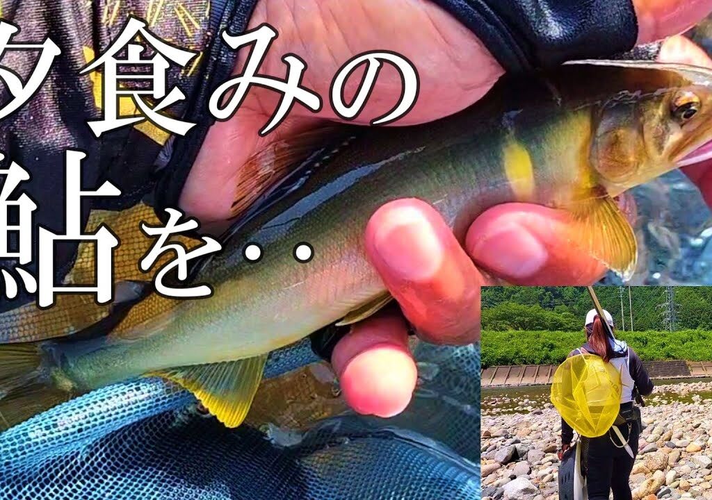 鮎釣り　夕方はここを狙う　長良川中央