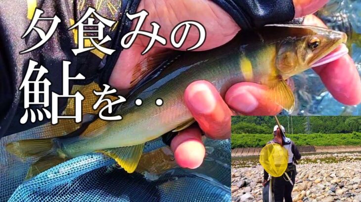 鮎釣り　夕方はここを狙う　長良川中央