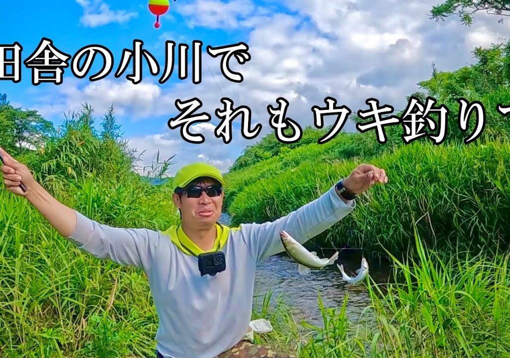 【爆釣】スーパーで買った鳥皮とシラスを餌にしたら天然アユが沢山釣れました。