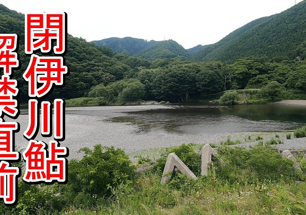 【閉伊川】鮎釣り解禁直前の状況は？